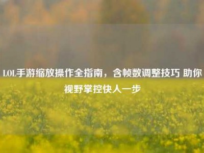 LOL手游缩放操作全指南，含帧数调整技巧 助你视野掌控快人一步