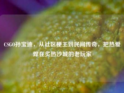 CSGO孙宝迪，从社区梗王到民间传奇，把热爱焊在炙热沙城的老玩家