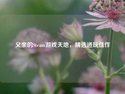 父亲的Steam游戏天地，精选适玩佳作