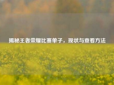 揭秘王者荣耀比赛单子，现状与查看方法