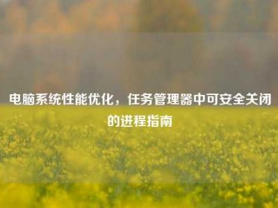 电脑系统性能优化，任务管理器中可安全关闭的进程指南