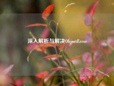 深入解析与解决ObjectError