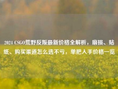 2024 CSGO荒野反叛最新价格全解析，磨损、贴纸、购买渠道怎么选不亏，单把入手价格一览