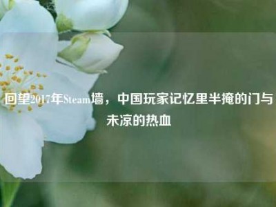 回望2017年Steam墙，中国玩家记忆里半掩的门与未凉的热血