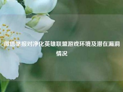 微信举报对净化英雄联盟游戏环境及潜在漏洞情况
