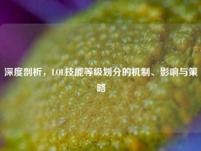 深度剖析，LOL技能等级划分的机制、影响与策略