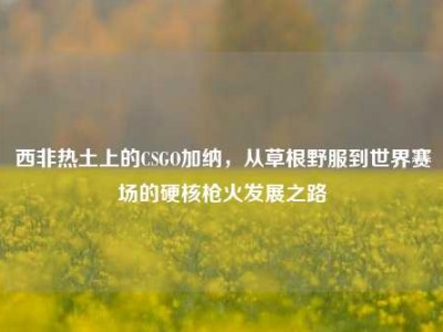 西非热土上的CSGO加纳，从草根野服到世界赛场的硬核枪火发展之路
