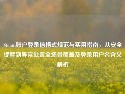 Steam账户登录信格式规范与实用指南，从安全提醒到异常处置全场景覆盖及登录用户名含义解析