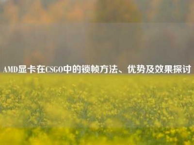 AMD显卡在CSGO中的锁帧方法、优势及效果探讨