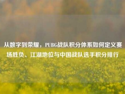 从数字到荣耀，PUBG战队积分体系如何定义赛场胜负、江湖地位与中国战队选手积分排行