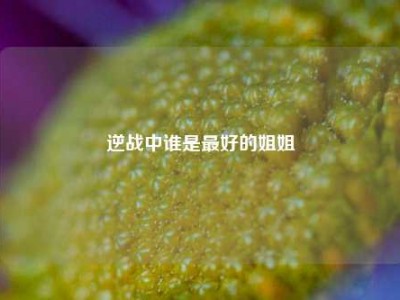 逆战中谁是最好的姐姐