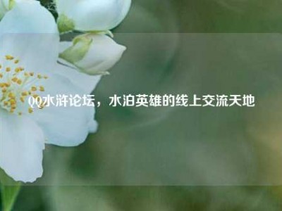 QQ水浒论坛，水泊英雄的线上交流天地