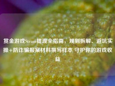 赏金游戏Steam提现全指南，规则拆解、避坑实操+防诈骗报案材料撰写样本 守护你的游戏收益
