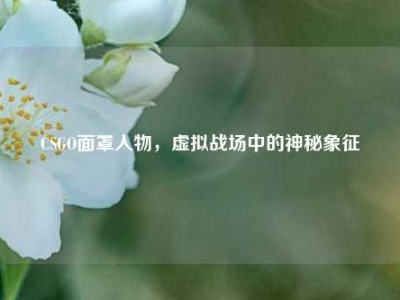 CSGO面罩人物，虚拟战场中的神秘象征