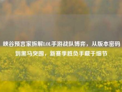 峡谷预言家拆解LOL手游战队博弈，从版本密码到黑马突围，新赛季胜负手藏于细节