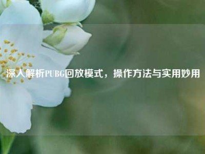 深入解析PUBG回放模式，操作方法与实用妙用