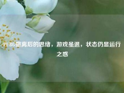 PUBG撤离后的思绪，游戏虽退，状态仍显运行之惑
