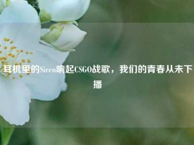 耳机里的Siren响起CSGO战歌，我们的青春从未下播