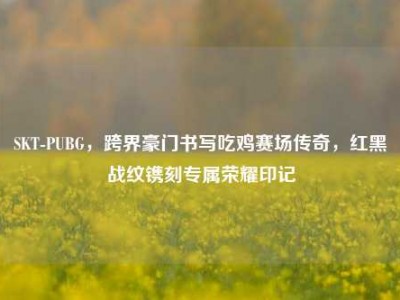 SKT-PUBG，跨界豪门书写吃鸡赛场传奇，红黑战纹镌刻专属荣耀印记