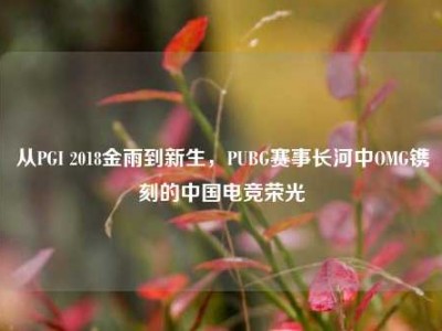从PGI 2018金雨到新生，PUBG赛事长河中OMG镌刻的中国电竞荣光