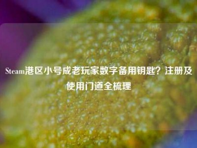 Steam港区小号成老玩家数字备用钥匙？注册及使用门道全梳理