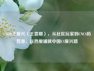 CSGO王复兴（王喜顺），从社区玩家到CNCS拓荒者，以热爱铺就中国CS复兴路