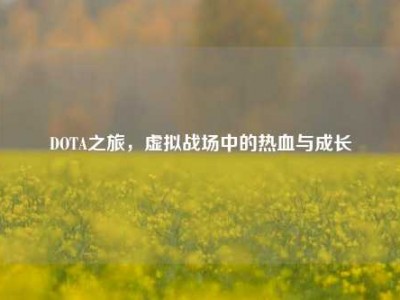 DOTA之旅，虚拟战场中的热血与成长