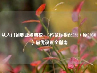 从入门到职业级调校，GPX鼠标搭配CS2（原CSGO）最优设置全指南
