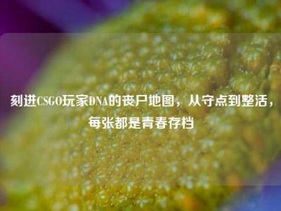 刻进CSGO玩家DNA的丧尸地图，从守点到整活，每张都是青春存档