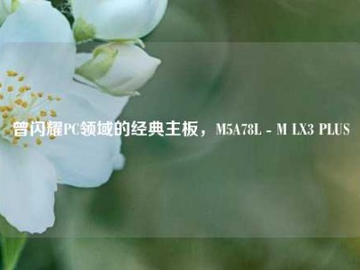 曾闪耀PC领域的经典主板，M5A78L - M LX3 PLUS