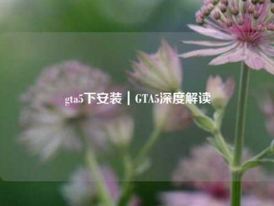 gta5下安装｜GTA5深度解读