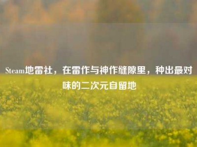 Steam地雷社，在雷作与神作缝隙里，种出最对味的二次元自留地