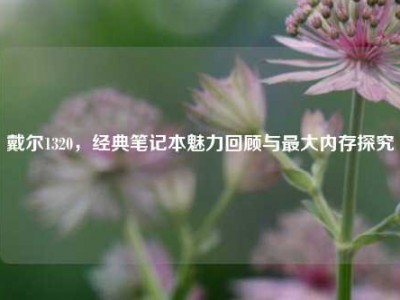戴尔1320，经典笔记本魅力回顾与最大内存探究