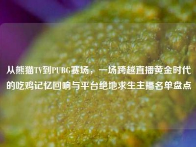 从熊猫TV到PUBG赛场，一场跨越直播黄金时代的吃鸡记忆回响与平台绝地求生主播名单盘点