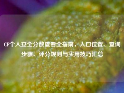 CF个人安全分数查看全指南，入口位置、查询步骤、评分规则与实用技巧汇总