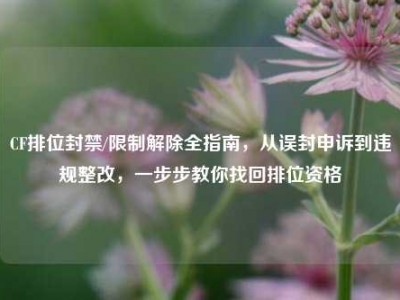 CF排位封禁/限制解除全指南，从误封申诉到违规整改，一步步教你找回排位资格