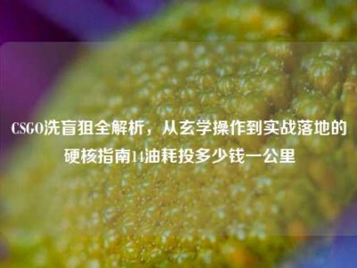 CSGO洗盲狙全解析，从玄学操作到实战落地的硬核指南14油耗投多少钱一公里