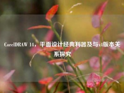 CorelDRAW 14，平面设计经典利器及与x4版本关系探究