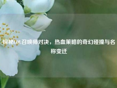 探秘LOL召唤师对决，热血策略的奇幻碰撞与名称变迁