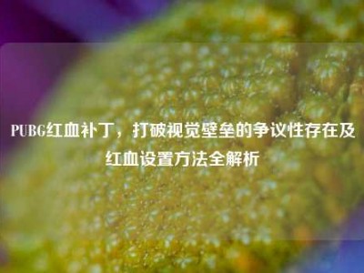 PUBG红血补丁，打破视觉壁垒的争议性存在及红血设置方法全解析