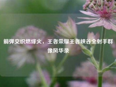 箭弹交织燃烽火，王者荣耀王者峡谷全射手群像风华录