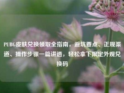PUBG皮肤兑换领取全指南，避坑要点、正规渠道、操作步骤一篇讲透，轻松拿下限定外观兑换码