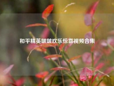 和平精英啵啵欢乐惊喜视频合集