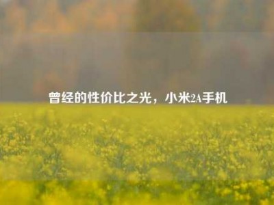 曾经的性价比之光，小米2A手机