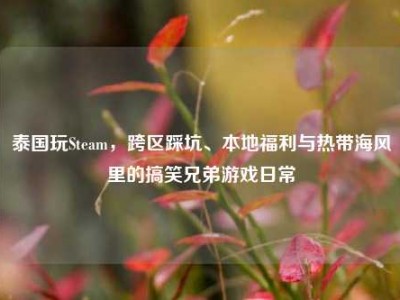 泰国玩Steam，跨区踩坑、本地福利与热带海风里的搞笑兄弟游戏日常