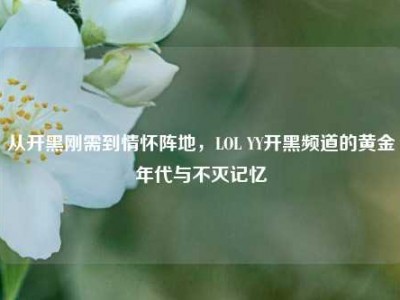 从开黑刚需到情怀阵地，LOL YY开黑频道的黄金年代与不灭记忆