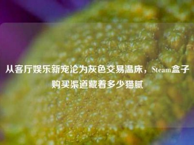从客厅娱乐新宠沦为灰色交易温床，Steam盒子购买渠道藏着多少猫腻