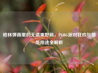 枪林弹雨里的无请柬野局，PUBG派对狂欢与图纸用途全解析