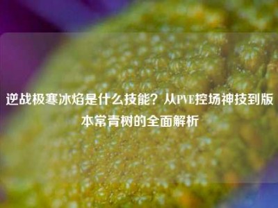 逆战极寒冰焰是什么技能？从PVE控场神技到版本常青树的全面解析
