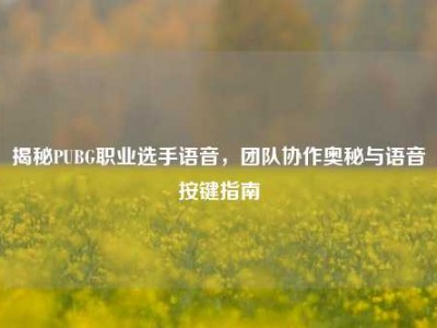 揭秘PUBG职业选手语音，团队协作奥秘与语音按键指南